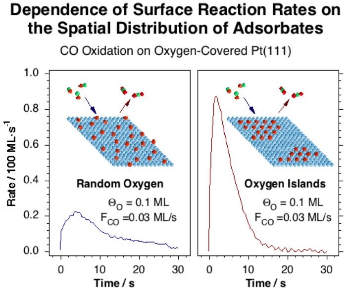 projp2fig2-dependence of surface reaction rates on the spatial distribution of adsorbates