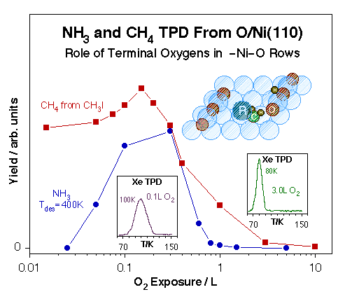 projp3fig6-nh3-ch3-sites-o-ni110-role of terminal oxygens