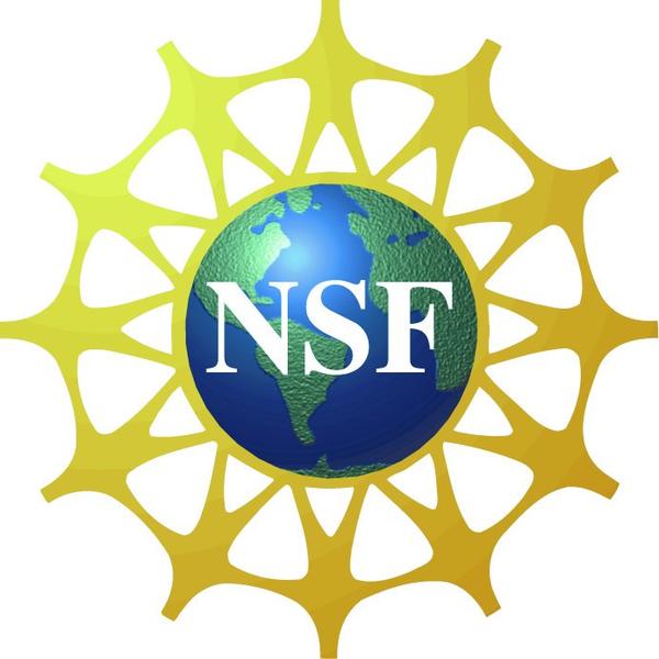 NSF logo 2019