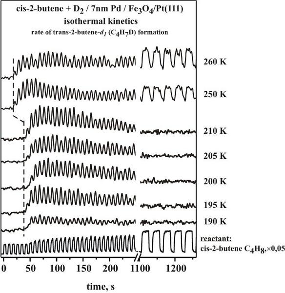 projp5fig4-c4-supp-pd-mb-isothermal kinetics