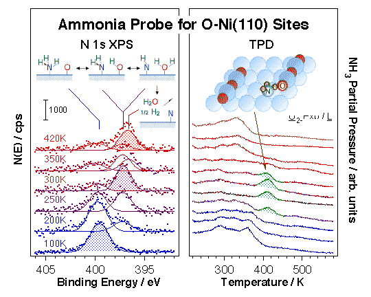 projp3fig2-ammonia probe for o-ni110-plus-nh3-